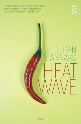 Book cover of Heat Wave by Julian Stannard