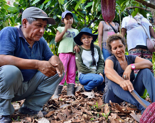 People inspect rainforest in Peru