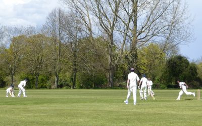 Exeter Cricket team playing