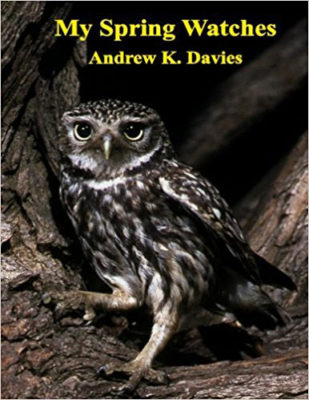 Andrew K. Davies's My Spring Watches book cover