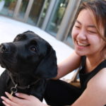 Exeter College Summer Programme Student smiling with a black Labrador