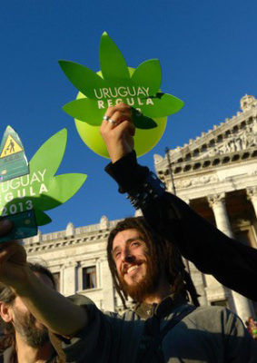 Activists celebrate the cannabis bill being passed in front of Congress in Uruguay