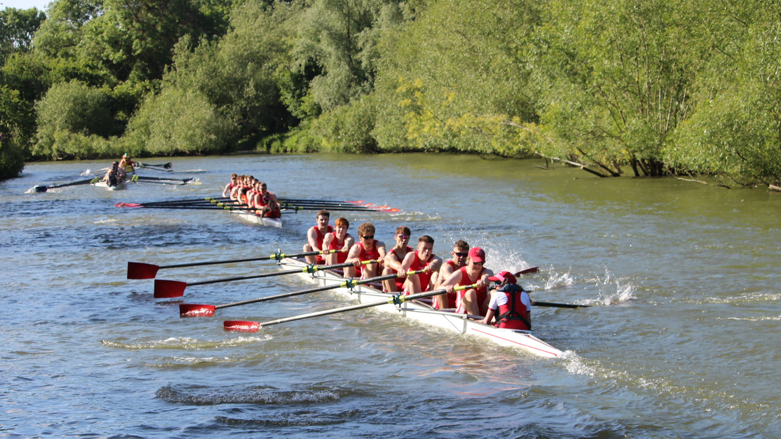 Men's Boat racing in Summer Eights