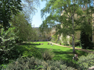 The Fellows' Garden in summer