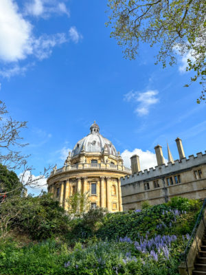 The Radcliffe Camera as seen from the Exeter College Fellows' Garden