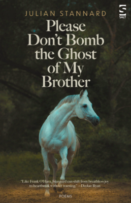 Cover of Please Don't Bomb the Ghost of My Brother