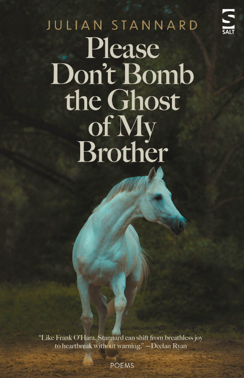Cover of Please Don't Bomb the Ghost of My Brother