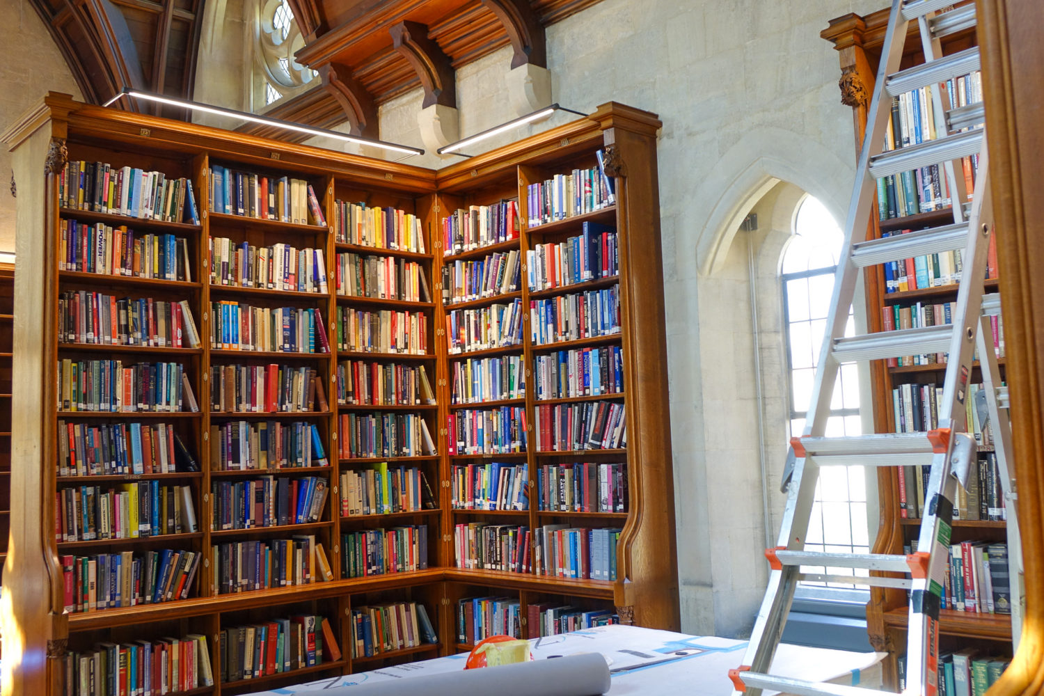 Library shelves