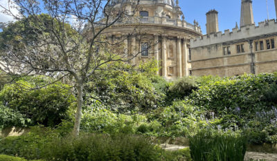 The Fellows' Garden on a sunny day