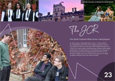 A Page from the Alternative Prospectus