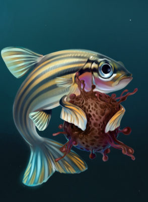 Digital illustration of a striped zebrafish holding a large, spiky, spherical mass resembling a cancer cell against a dark teal background.