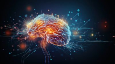 Illustration of a brain