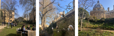 Three photographs of the Fellows’ Garden in spring, with students relaxing on the lawn, magnolia blossoms in bloom, and views of the Radcliffe Camera beyond the college wall.
