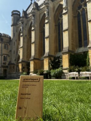 Green Impact beyond Gold Award